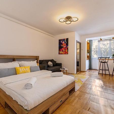 Jad - Family - Apartments & Studios Брашов Экстерьер фото