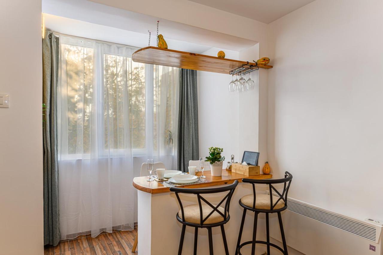 Jad - Family - Apartments & Studios Брашов Экстерьер фото