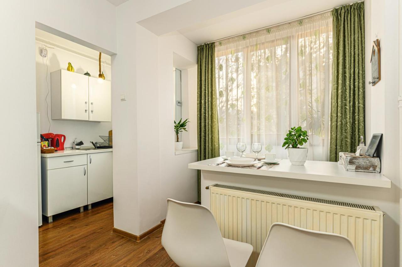 Jad - Family - Apartments & Studios Брашов Экстерьер фото