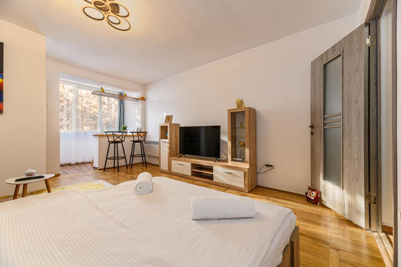 Jad - Family - Apartments & Studios Брашов Экстерьер фото