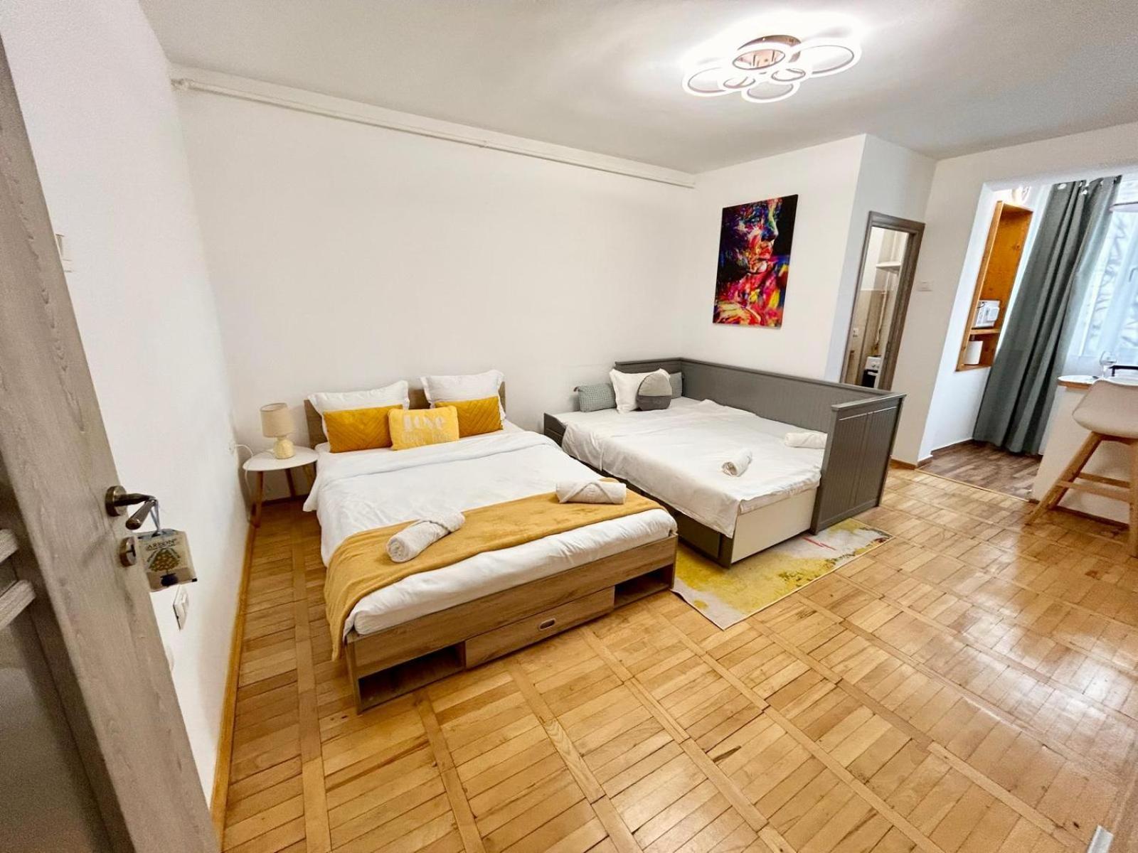 Jad - Family - Apartments & Studios Брашов Экстерьер фото
